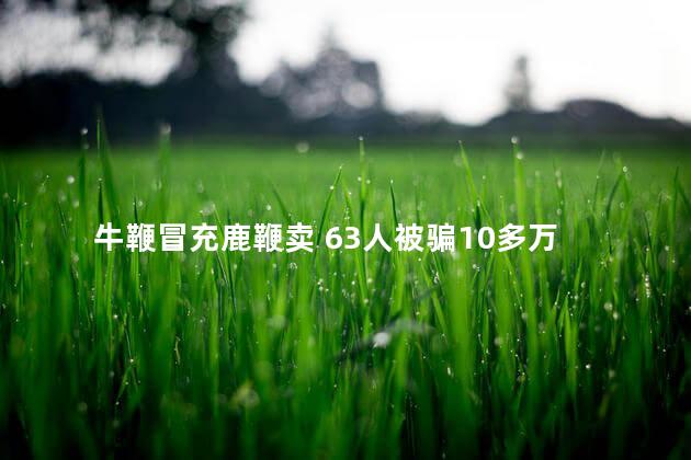 牛鞭冒充鹿鞭卖 63人被骗10多万